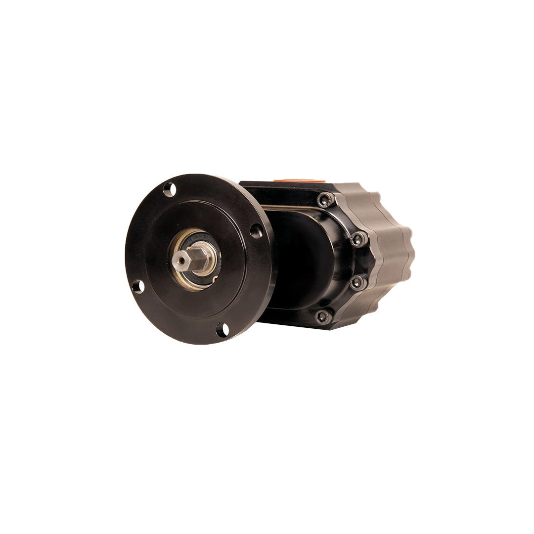 WATERMAN RACING NOSTALGIA BERTHA MECHANICAL FUEL PUMP