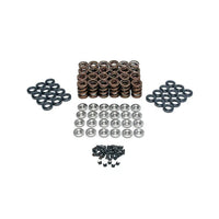 FERREA KT4015 NISSAN GT-R VR38DETT DUAL SPRING KIT - Subzero Motorsports - FOR NISSAN GTR R35